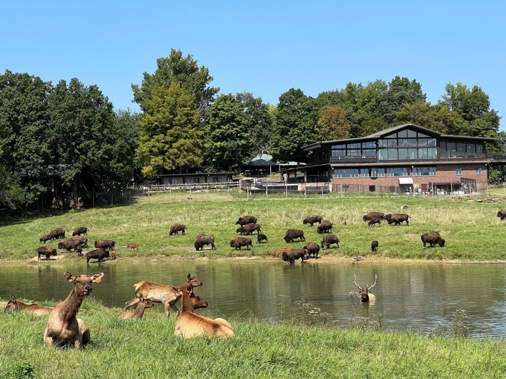 Wildlife Prairie Park 1